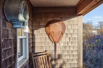 1145 Kingsbury Beach Rd, Eastham, MA 02642 - Photo 37