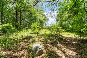 12 Abbott Ln, Chelmsford, MA 01824 - Photo 37
