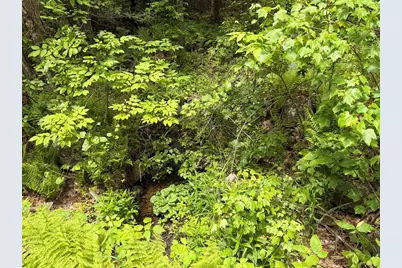 Lot 20 Sunrise Ave, Barre, MA 01005 - Photo 7