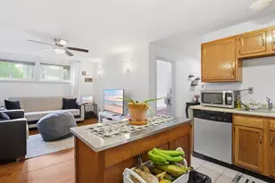 59 Monadnock St, Boston, MA 02125 - Photo 9
