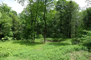 69 Cummington Rd, Worthington, MA 01098 - Photo 5