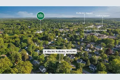 31 Alba Rd, Wellesley, MA 02481 - Photo 41