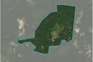 19 Locust Ln, Chilmark, MA 02535 - Photo 39