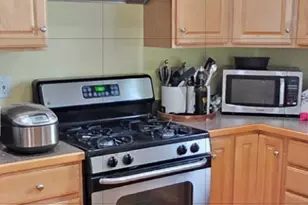 42 Castine St, Worcester, MA 01606 - Photo 15