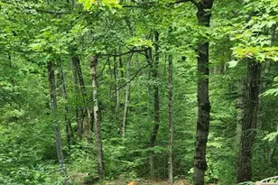 79 Pine Ridge Rd, Montgomery, MA 01085 - Photo 11