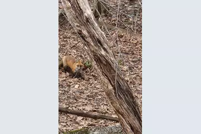 79 Pine Ridge Rd, Montgomery, MA 01085 - Photo 11