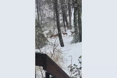 79 Pine Ridge Rd, Montgomery, MA 01085 - Photo 9