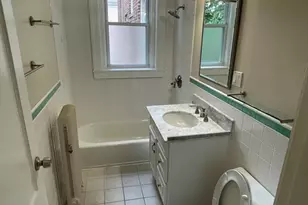 235 Freeman St, Brookline, MA 02446 - Photo 19
