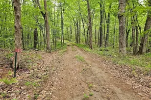 119 Buffam Rd, Pelham, MA 01002 - Photo 19