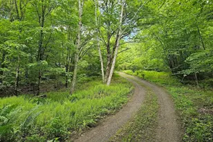 119 Buffam Rd, Pelham, MA 01002 - Photo 21