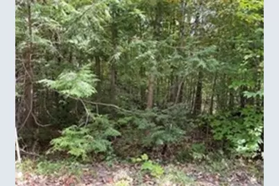 Lot 7&8 Little John, Becket, MA 01223 - Photo 1