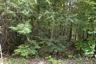 Lot 7&8 Little John, Becket, MA 01223 - Photo 1