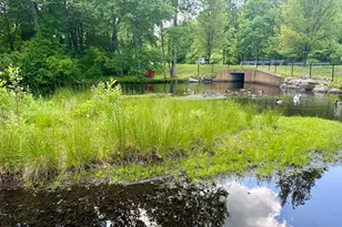 5 Shadowbrook Ln, Milford, MA 01757 - Photo 11