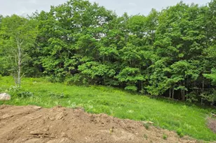 Lot 2 Petersham Rd, Phillipston, MA 01331 - Photo 29