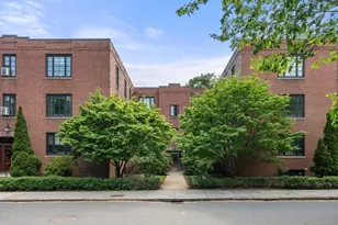 15 Monmouth Ct, Brookline, MA 02446 - Photo 15