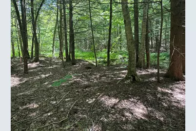 0 Old Stage Rd, Ashfield, MA 01330 - Photo 3