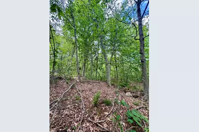 Lot 273 King Richard Dr, Becket, MA 01223 - Photo 15