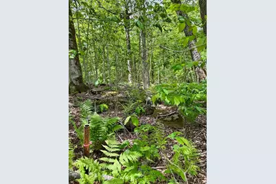 Lot 273 King Richard Dr, Becket, MA 01223 - Photo 3