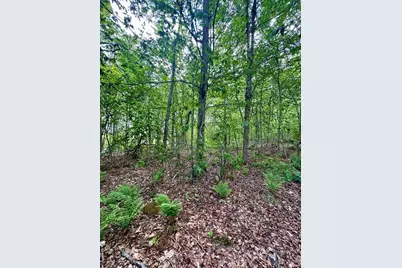 Lot 273 King Richard Dr, Becket, MA 01223 - Photo 19