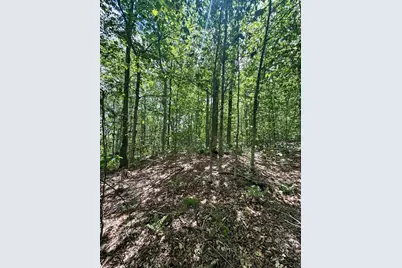 Lot 273 King Richard Dr, Becket, MA 01223 - Photo 17
