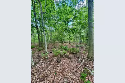 Lot 273 King Richard Dr, Becket, MA 01223 - Photo 11