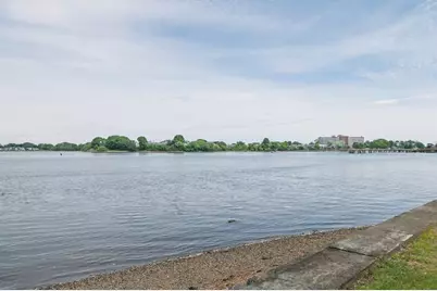 90 Lawn Ave, Quincy, MA 02169 - Photo 33