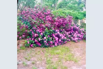 30 Crest Ave, Plymouth, MA 02360 - Photo 29
