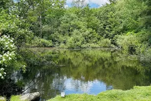 91 Rosewood Dr, Stoughton, MA 02072 - Photo 11