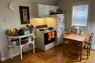 10 Rena St, Boston, MA 02134 - Photo 1