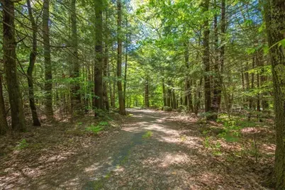 752 Algerie Road, Otis, MA 01253 - Photo 7