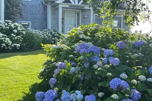 56 Stage Island Rd, Chatham, MA 02633 - Photo 37