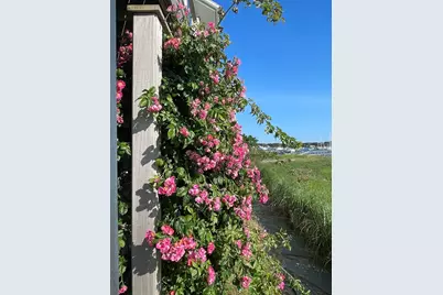 56 Stage Island Road, Chatham, MA 02633 - Photo 35