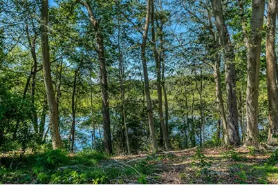 36 Carl Road, Raynham, MA 02767 - Photo 33