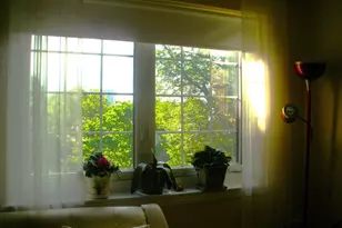 28 St Paul St, Brookline, MA 02446 - Photo 9