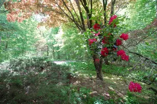131 Nowell Farme Rd, Carlisle, MA 01741 - Photo 27
