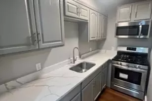14 Everton St, Boston, MA 02121 - Photo 21