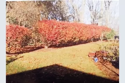 133 Winslow Road #133, Newton, MA 02468 - Photo 25