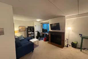 17 Healey, Cambridge, MA 02138 - Photo 3