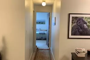 17 Healey, Cambridge, MA 02138 - Photo 5