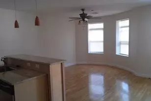 121 Homestead St, Boston, MA 02121 - Photo 3