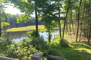 327 Long Plain Rd, Leverett, MA 01054 - Photo 13
