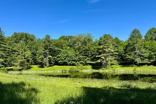 40 Whately Glen Rd, Conway, MA 01341 - Photo 39