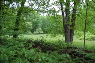 622 Spencer Rd, Oakham, MA 01068 - Photo 9