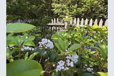 63 Pierrepont Rd, Newton, MA 02462 - Photo 17