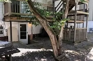 608 S Dorchester Ave, Boston, MA 02127 - Photo 15