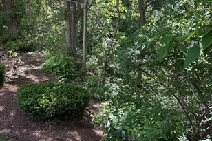 90 Washington Park Dr, Andover, MA 01810 - Photo 13