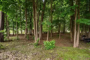 18 Ivy Rd, Littleton, MA 01460 - Photo 29