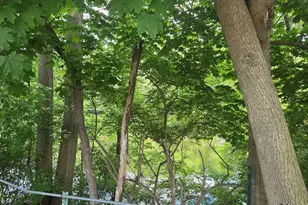 189 Springfield Rd, Westfield, MA 01085 - Photo 3