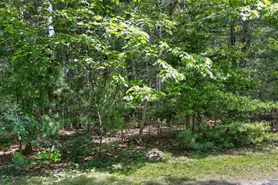 20 Hirsch, Sandwich, MA 02644 - Photo 9