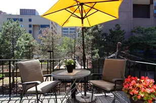 103 E Brookline St, Boston, MA 01118 - Photo 9